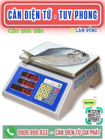 C&acirc;n điện tử ở Tuy Phong L&acirc;m Đồng - C&acirc;n Gia Ph&aacute;t